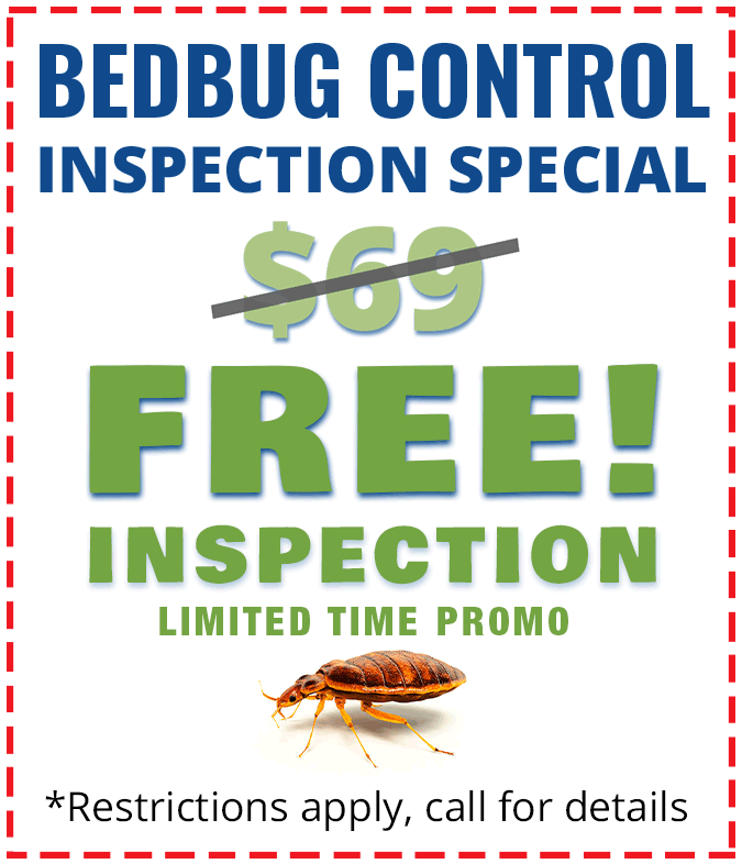 Bed Bug Control Coupon Bergenfield NJ
